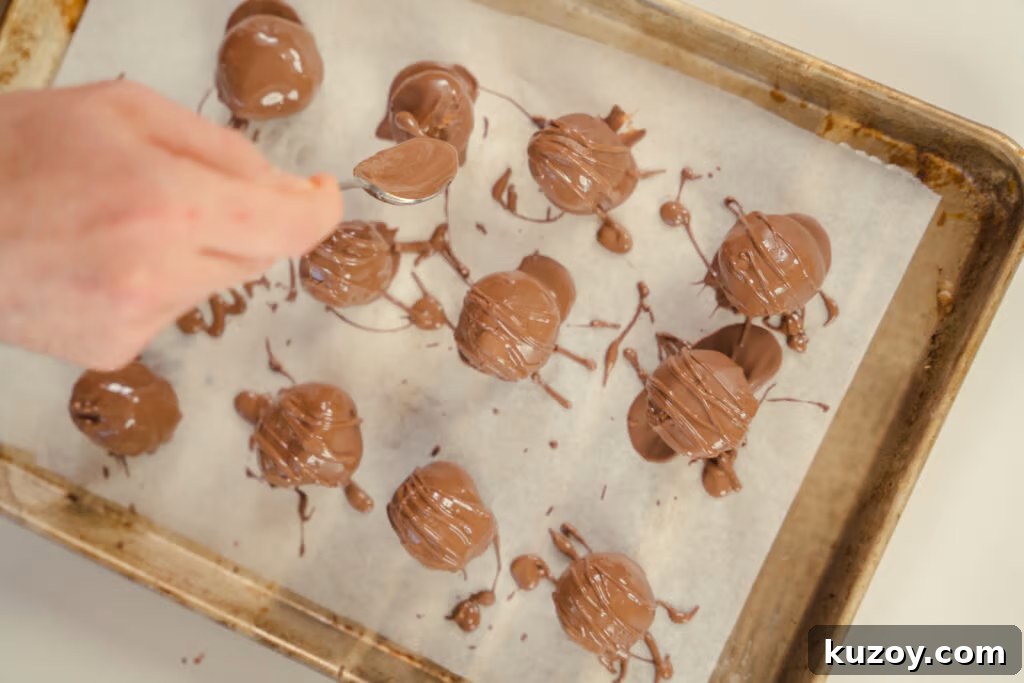 No-Bake Chocolate Peanut Butter Balls Recipe for Parties 2 A close up shot of Chocolate Peanut Butter Balls.