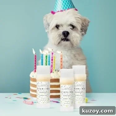 Three sticks of Starling's organic birthday cake-scented deodorant are on a table in front of a layered cake with colorful candles. A white dog is wearing a blue birthday hat looking at the camera.