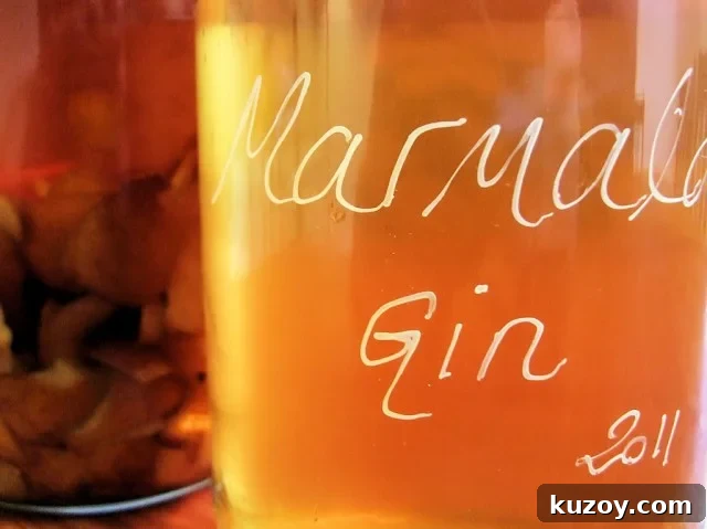 Marmalady Orange Gin Marmalady Orange Gin