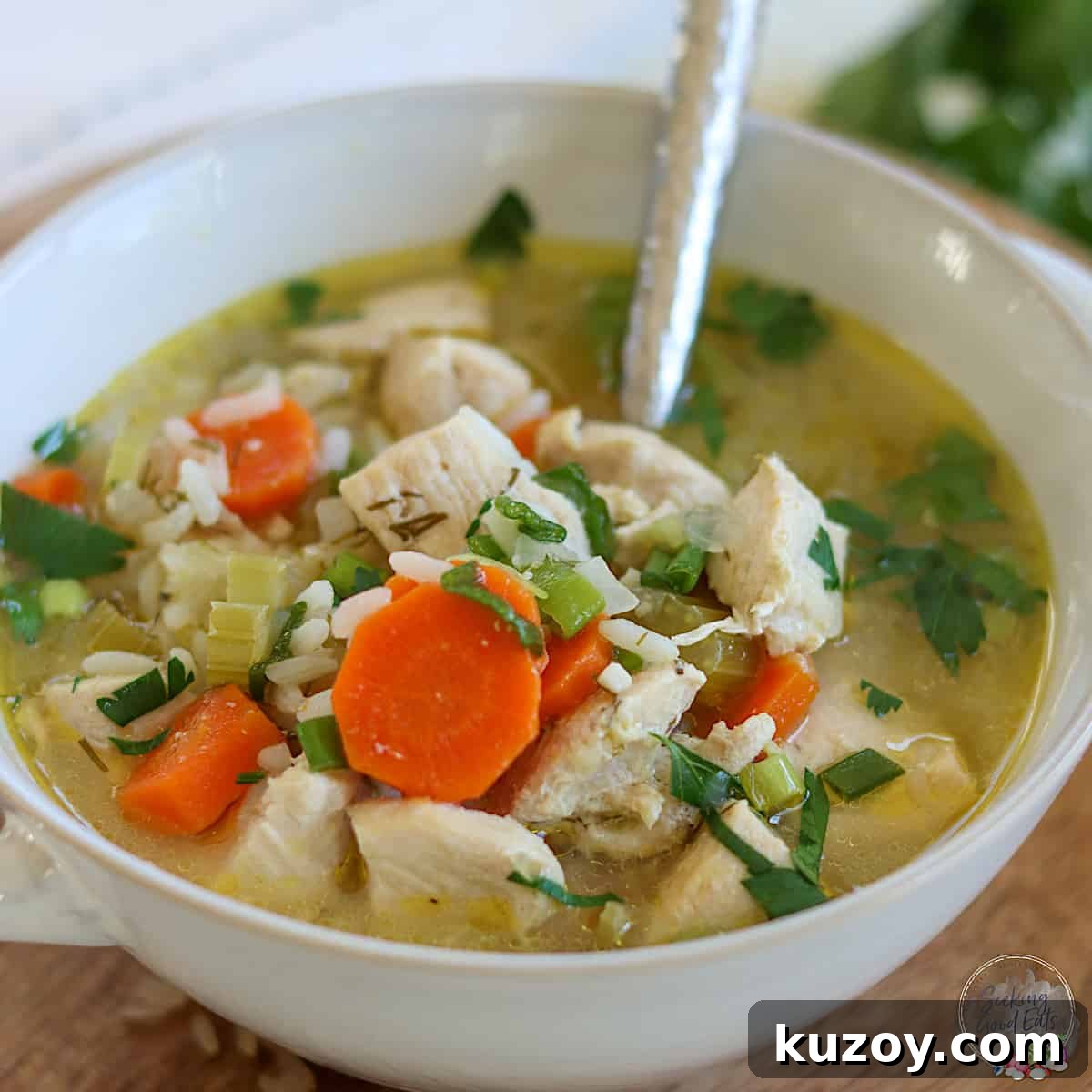 Instant Pot Chicken and Rice Soup Recipe — Comforting Weeknight Meal 5 Chicken rice soup garnished with fresh parsley.