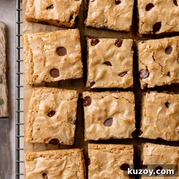 Squares of gluten-free blondies studded with chocolate chips on wire rack.
