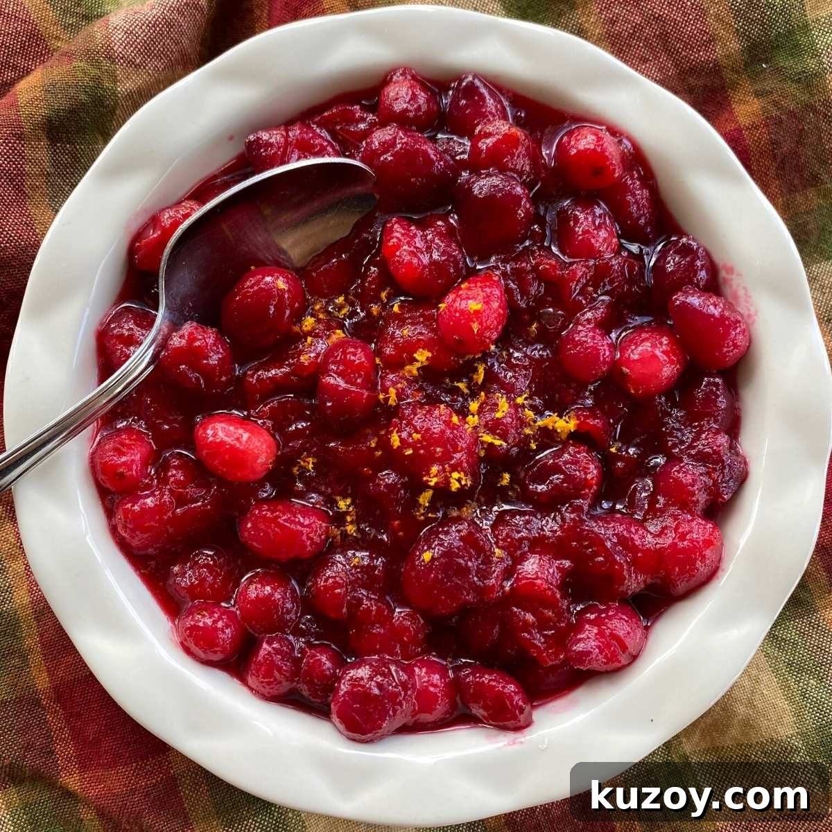 Low-sugar cranberry sauce garnished with orange zest in a bowl with a spoon.
