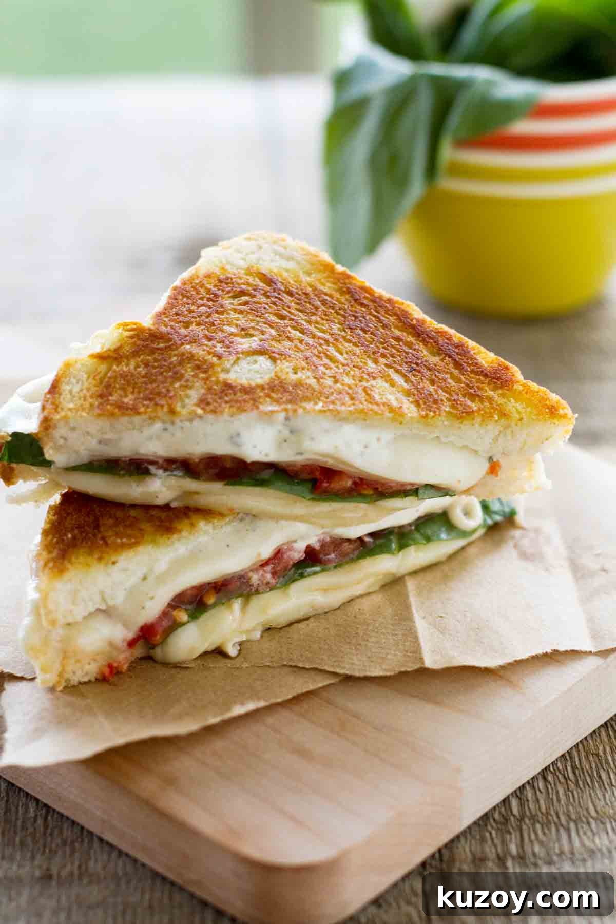 Liven up your grilled cheese with this Three Cheese Grilled Cheese with Tomato. Boursin, mozzarella and provolone combine with tomato and basil for the ultimate grilled cheese sandwich. sliced grilled cheese sandwich with tomatoes and basil