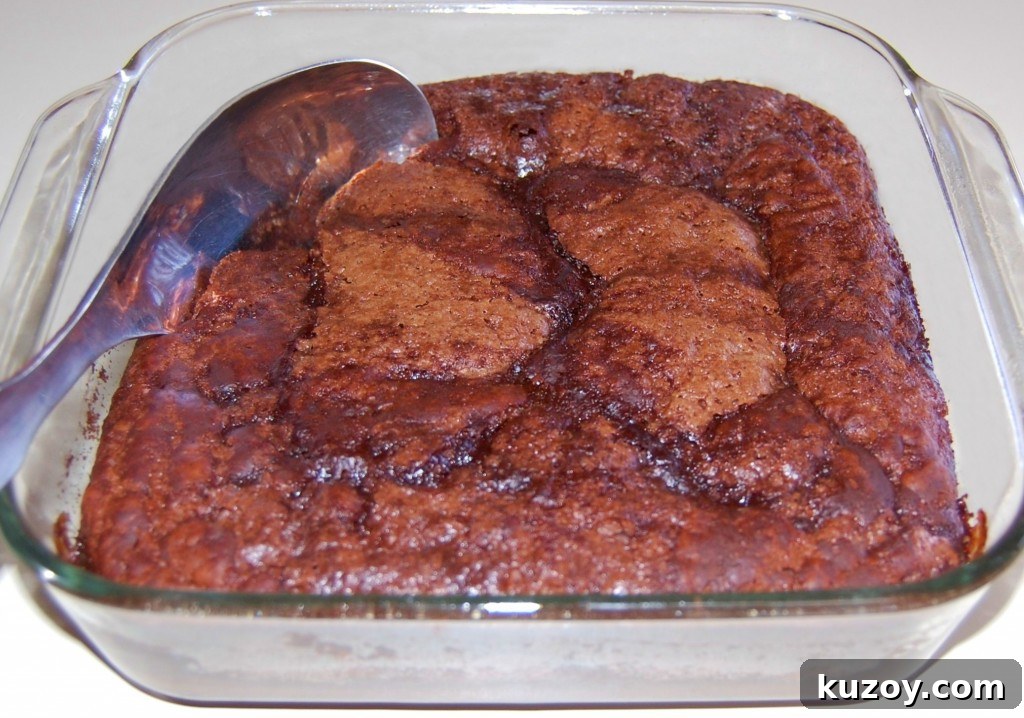 Chocolate Cobbler