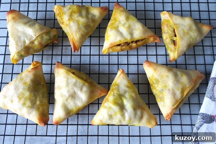 Keto-Friendly Vegetable Samosas: Low-Carb Crispy Recipe 2 img 586503 1