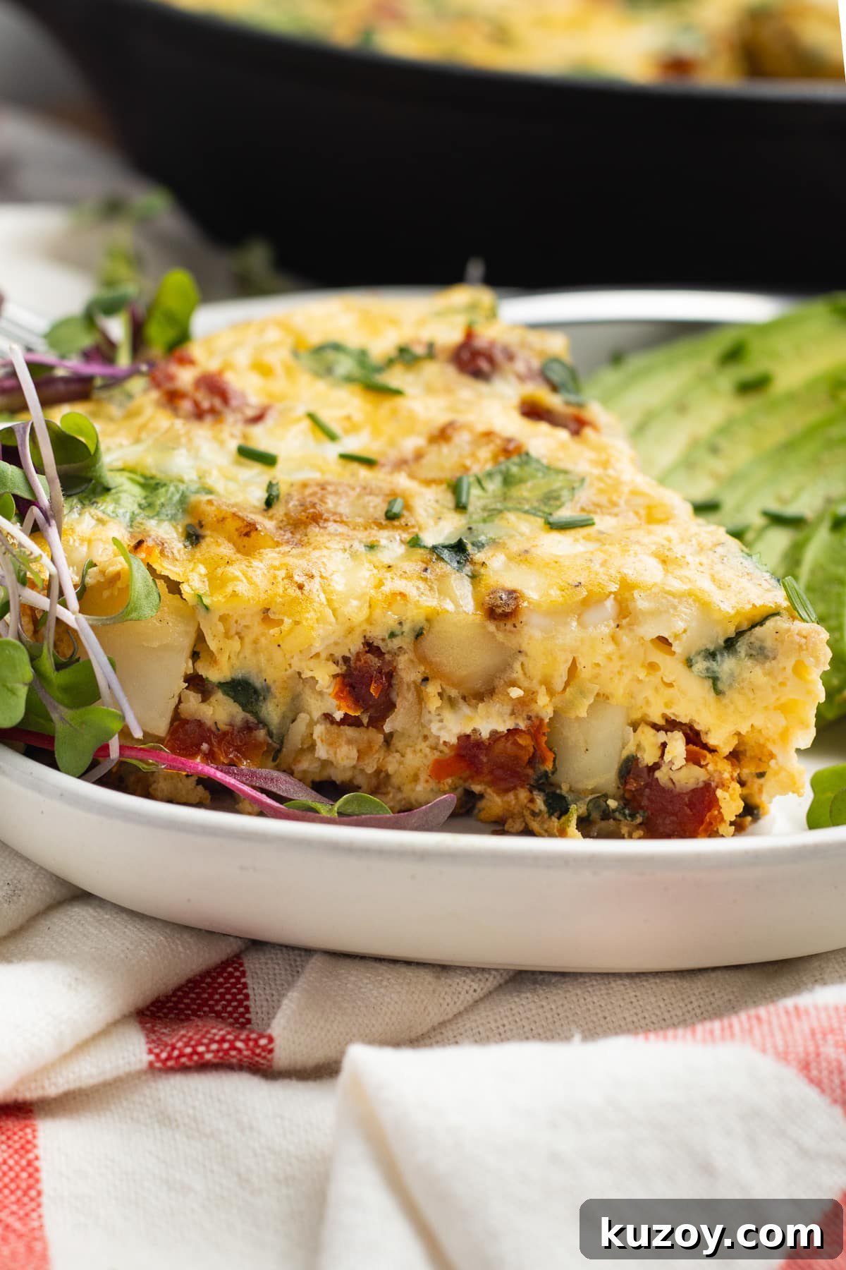 Sun-Dried Tomato and Cottage Cheese Frittata Recipe 3 This is a picture of a slice of frittata.