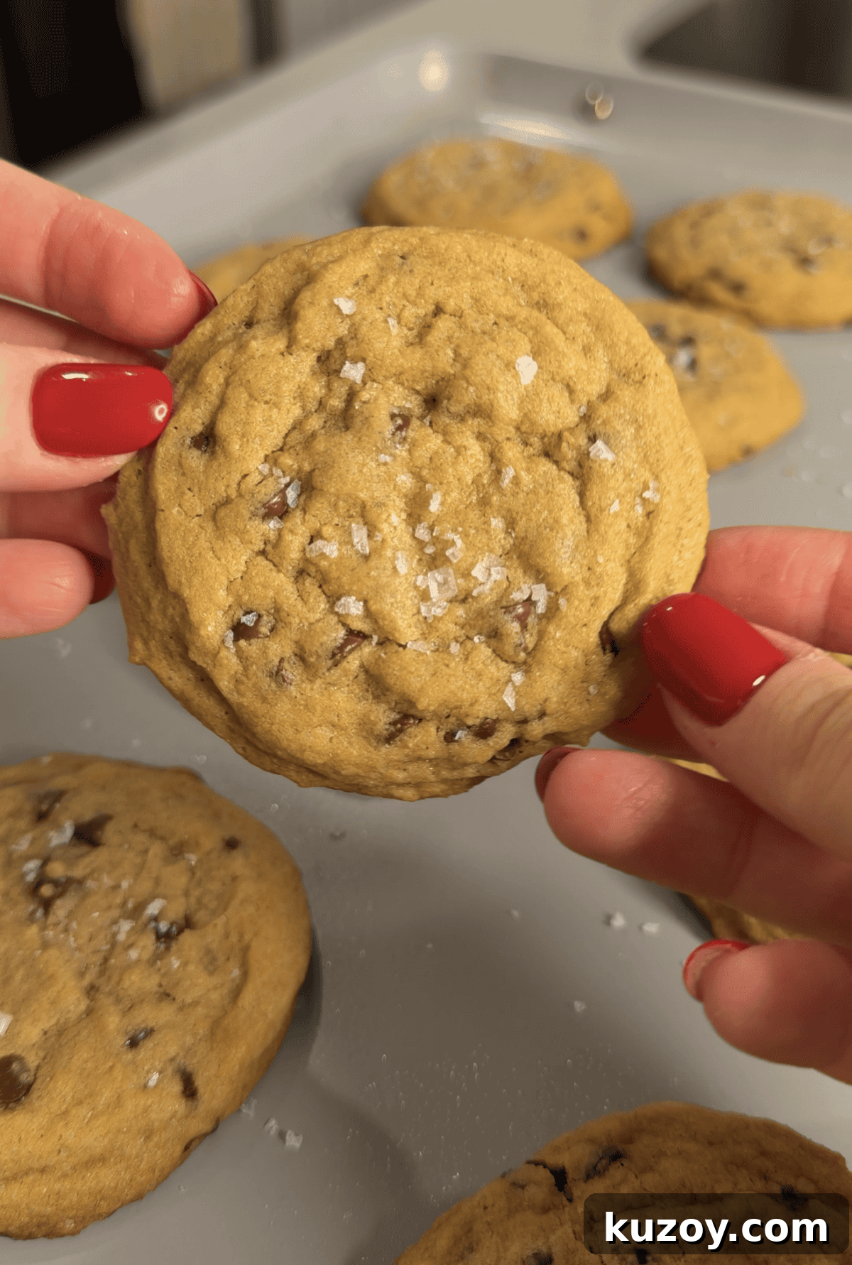 Warm chocolate chip cookies