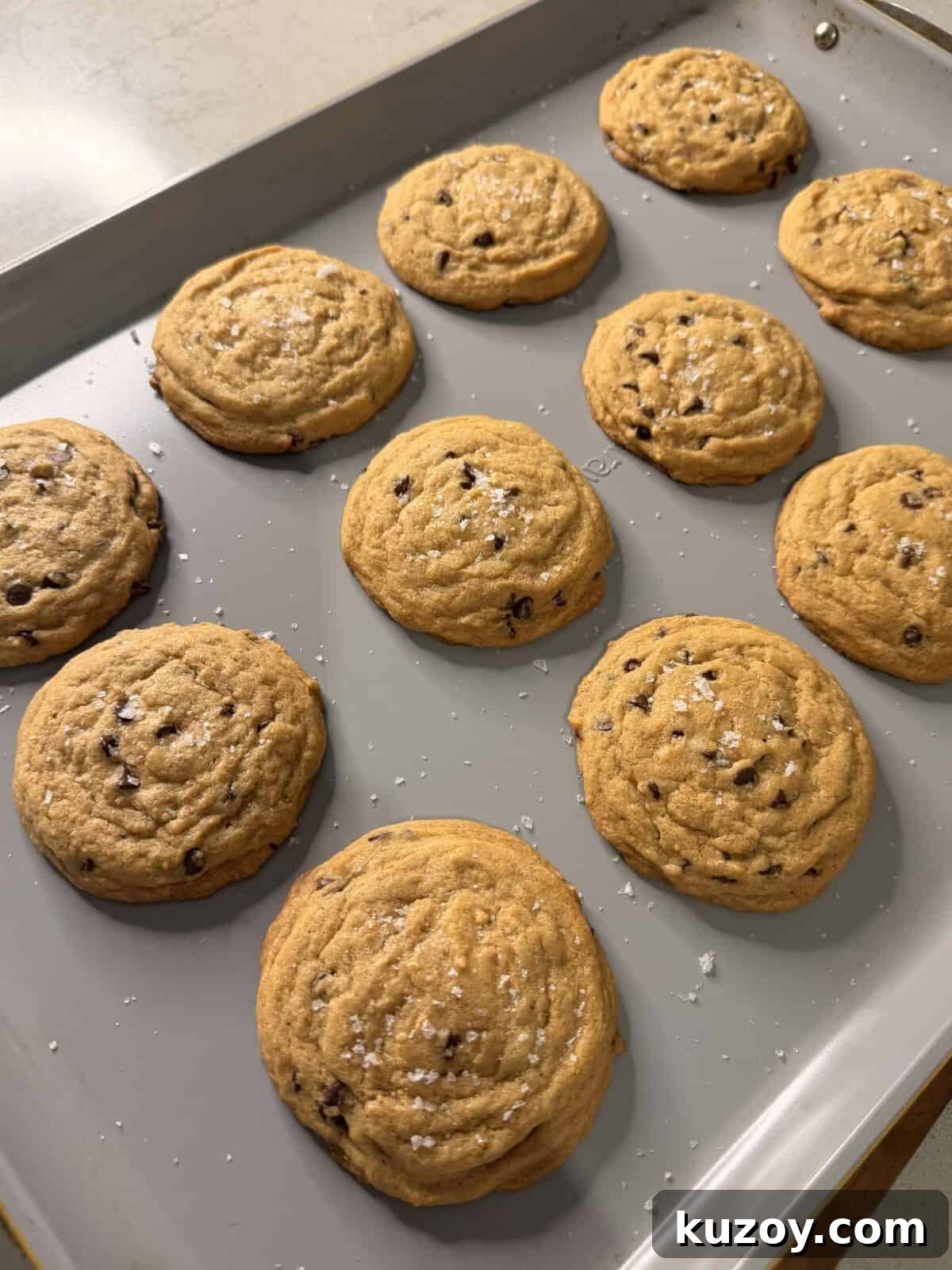 Freshly baked cookies cooling