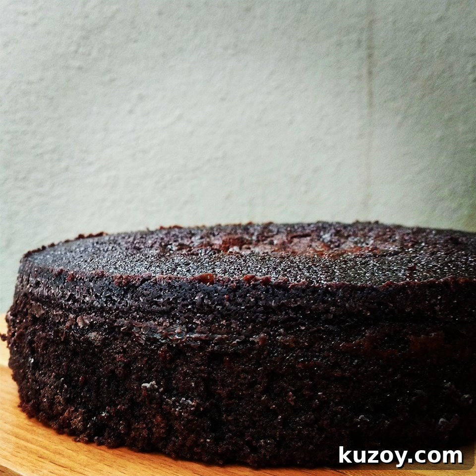 Decadent Dark Chocolate Mud Cake Recipe for Rich Chocolate Lovers 2 img 62415 1