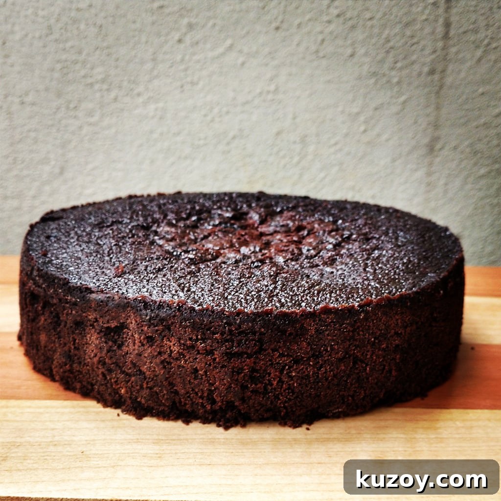 Decadent Dark Chocolate Mud Cake Recipe for Rich Chocolate Lovers 3 img 62415 2