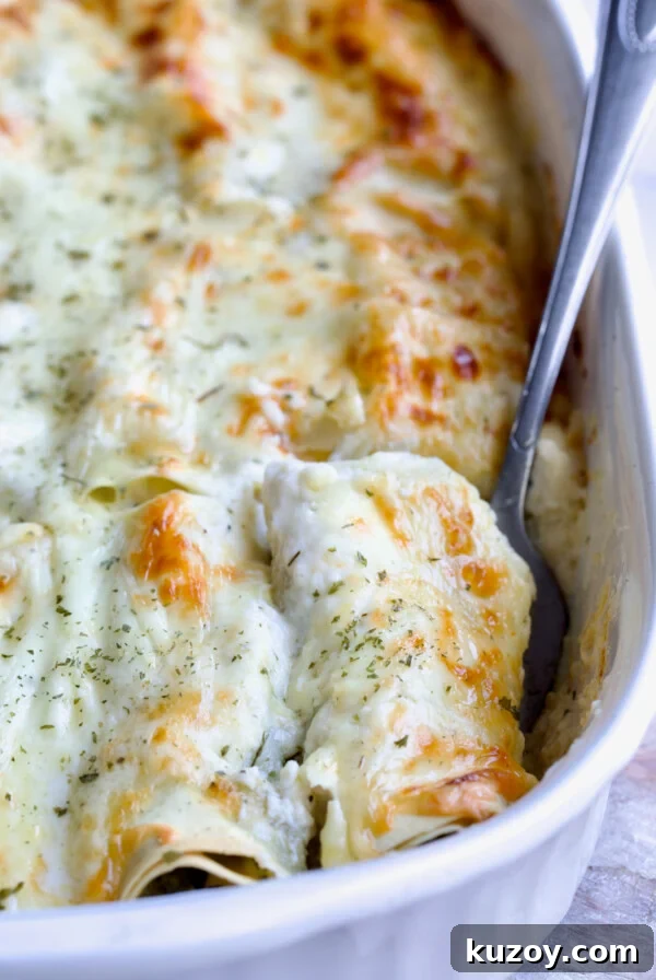 Serving fork picking up a Cannelloni with Chicken, Spinach and Artichokes from white baking dish.