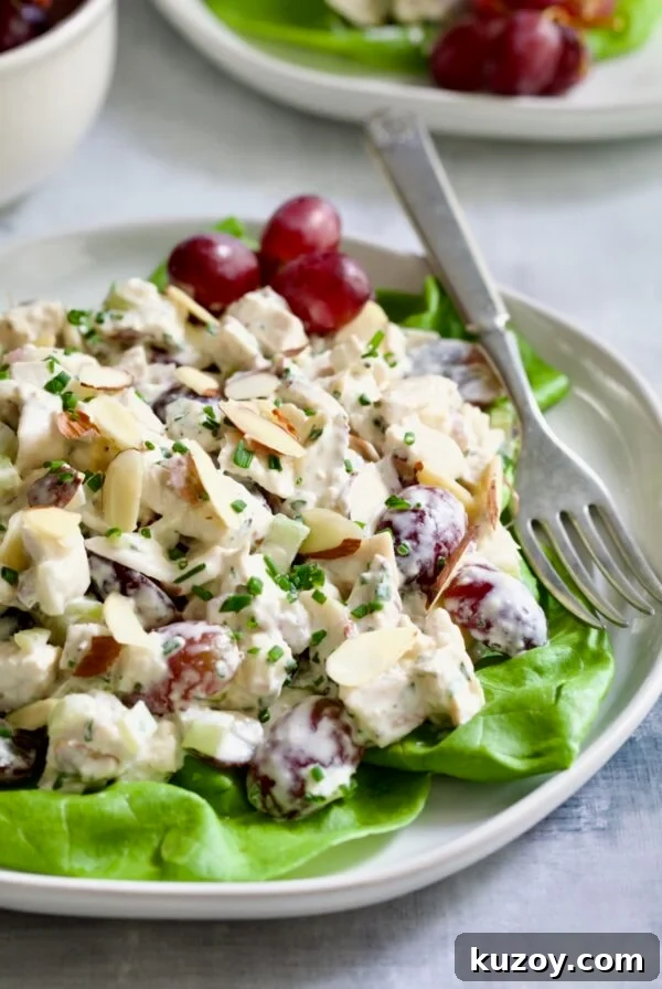 Chicken Salad with Herbs, Almonds and Grapes on lettuce on white plate.