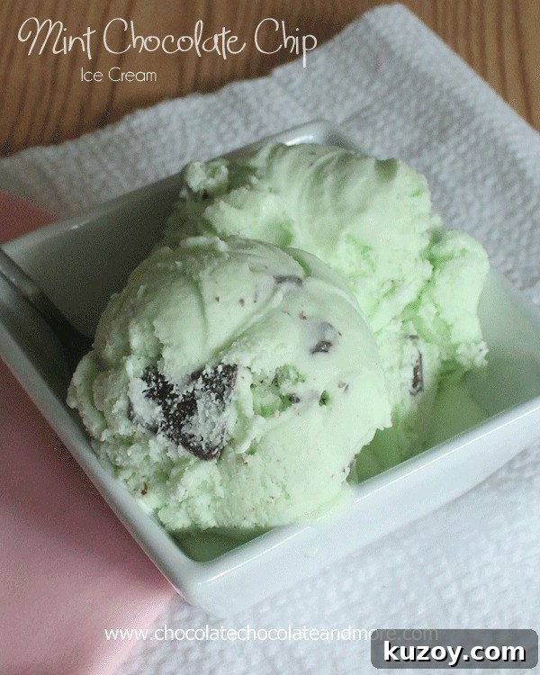 Decadent Dark Chocolate Cream Pie Recipe for Chocolate Lovers 11 Mint Chocolate Chip Ice Cream with Andes Mints-because you can never have too much mint and chocolate!!