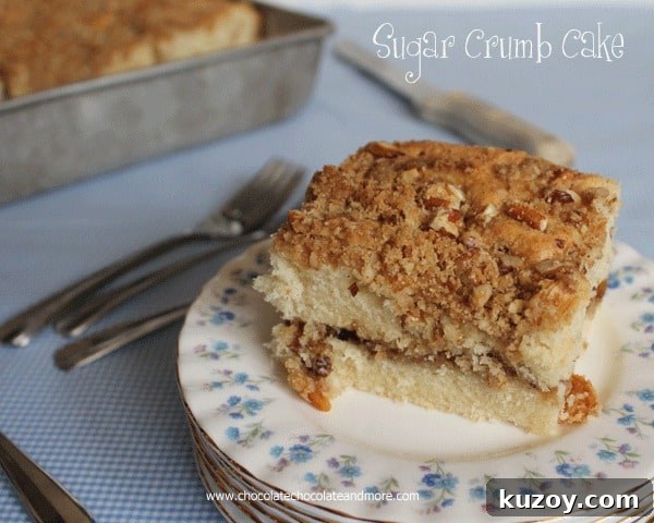Decadent Dark Chocolate Cream Pie Recipe for Chocolate Lovers 12 Sugar Crumb Cake-this coffee cake is great for breakfast or dessert!