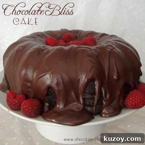 Decadent Dark Chocolate Cream Pie Recipe for Chocolate Lovers 13 Chocolate Bliss Cake, this cake will cure any chocolate craving!