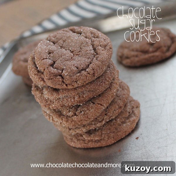 Decadent Dark Chocolate Cream Pie Recipe for Chocolate Lovers 16 Chocolate Sugar Cookies-so simple yet so good!