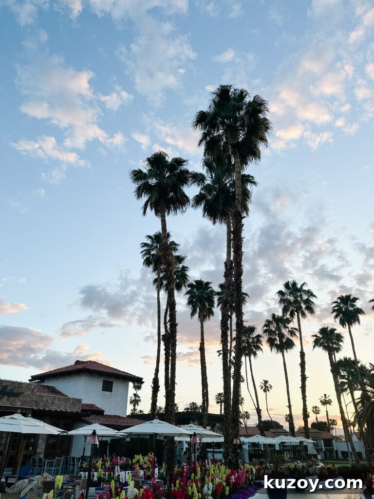 Palm Springs Travel Guide: Top Things to See, Stay, and Do 2 img 67519 1