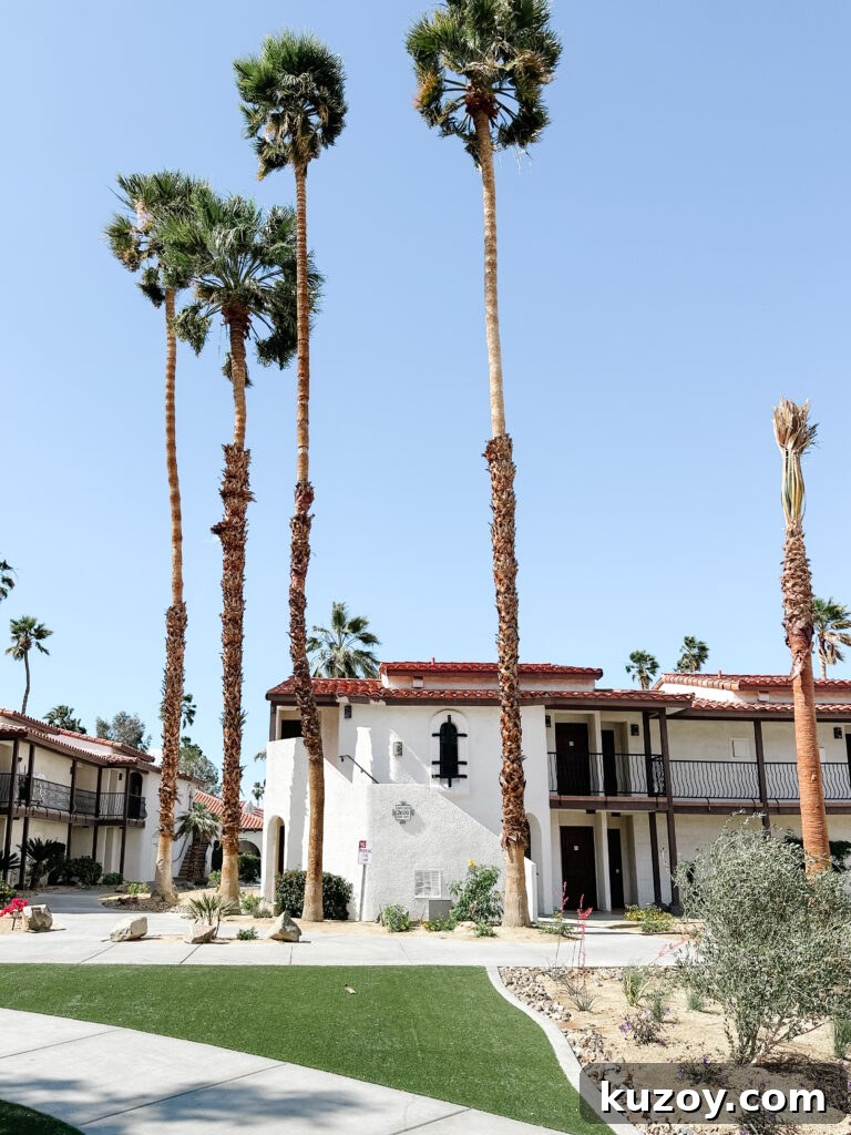 Palm Springs Travel Guide: Top Things to See, Stay, and Do 17 img 67519 17