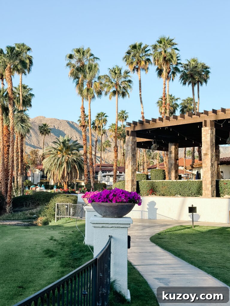 Palm Springs Travel Guide: Top Things to See, Stay, and Do 18 img 67519 18