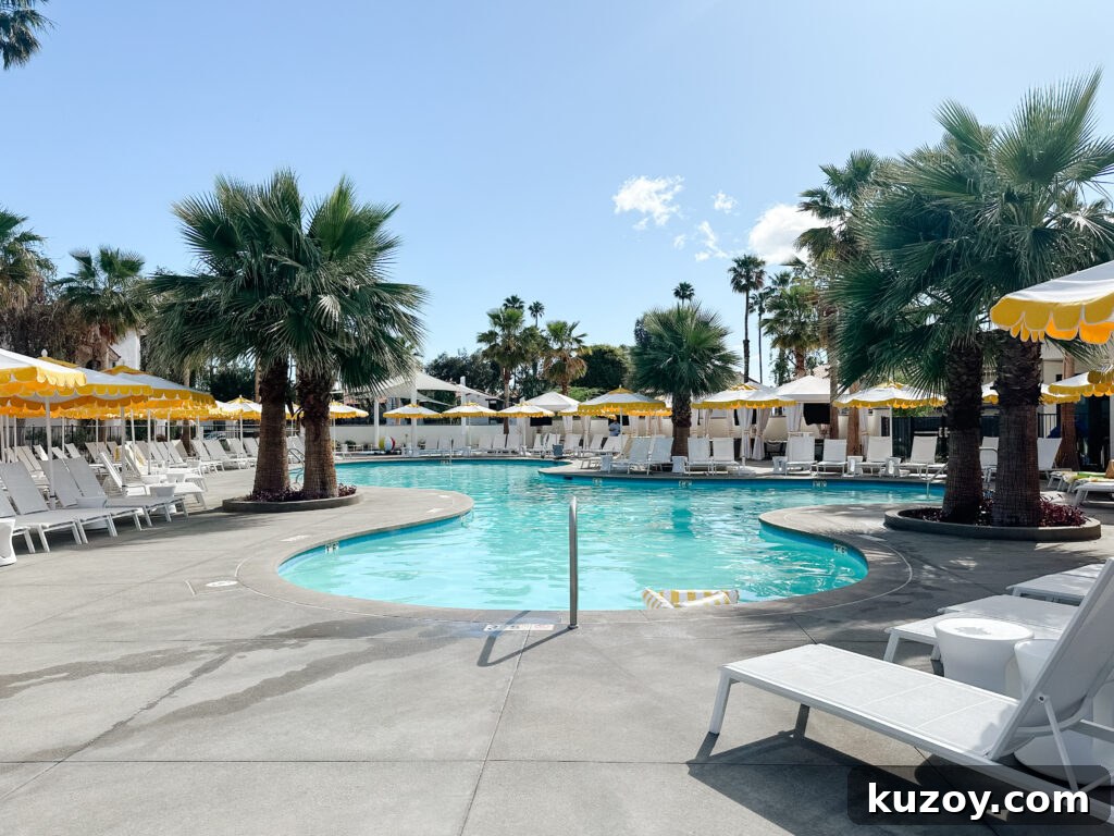 Palm Springs Travel Guide: Top Things to See, Stay, and Do 19 img 67519 19