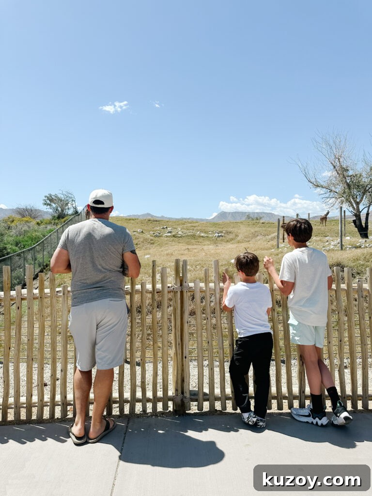 Palm Springs Travel Guide: Top Things to See, Stay, and Do 6 img 67519 5