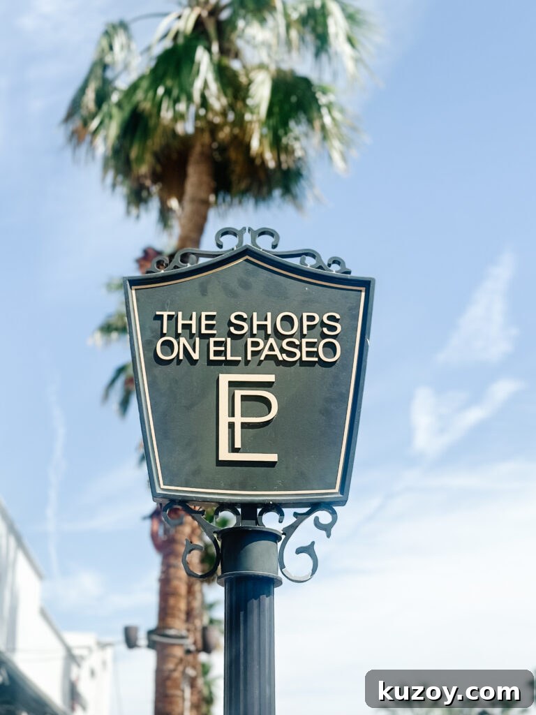 Palm Springs Travel Guide: Top Things to See, Stay, and Do 7 img 67519 6