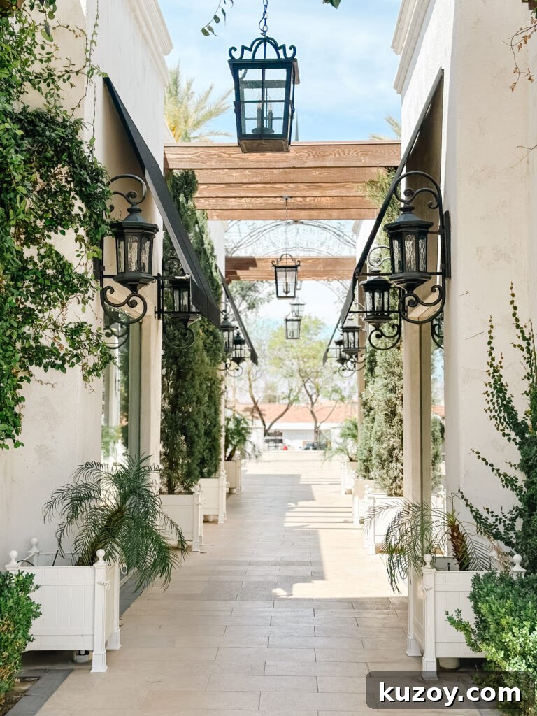 Palm Springs Travel Guide: Top Things to See, Stay, and Do 8 img 67519 7