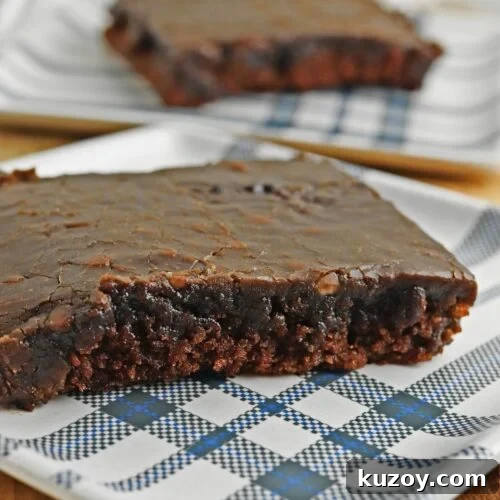 You’ll fall in love with Texas sheet cake for its decadent flavor, moist texture, and the ease with which it can be prepared.