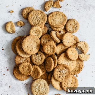Healthy homemade crackers onto a grey surface
