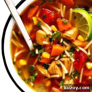 Mexican Chicken Noodle Soup
