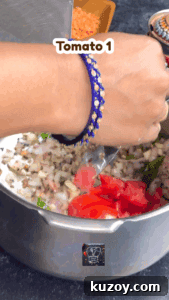 Tomato and spices cooking until mushy