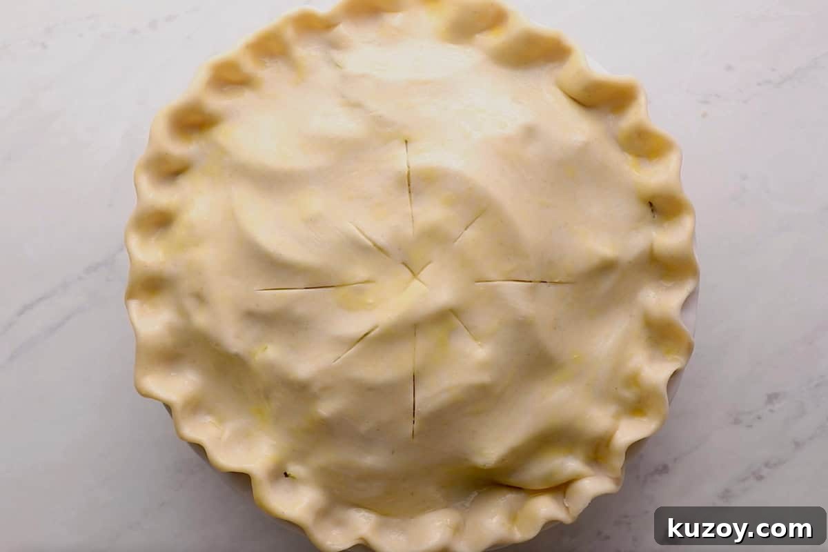Classic Homemade Apple Pie Recipe for Perfect Crust and Filling 9 vented apple pie brushed with egg wash before baking.