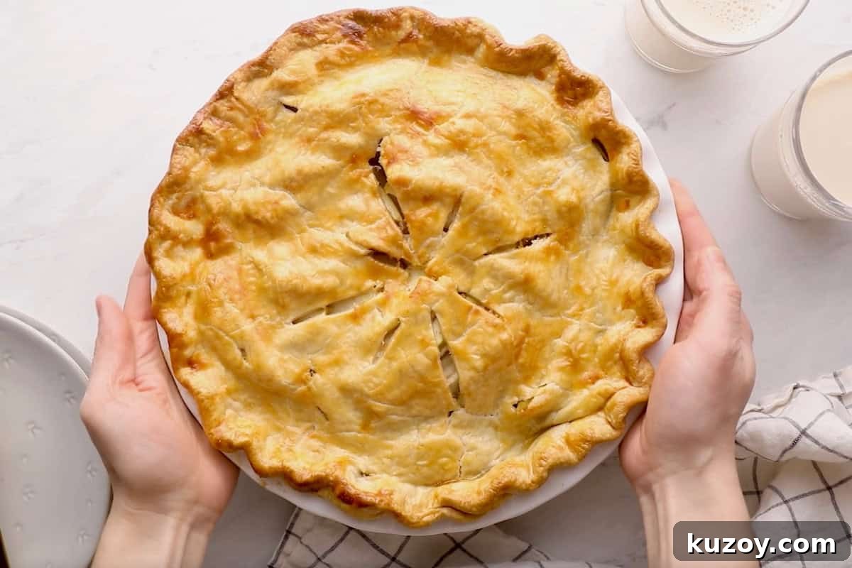 Classic Homemade Apple Pie Recipe for Perfect Crust and Filling 10 freshly baked apple pie in a pie pan.