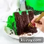 Decadent Chocolate Mint Cake Recipe with Fudgy Frosting 8 slice of chocolate mint cake on a plate with a hand reaching int with a fork to take a bite