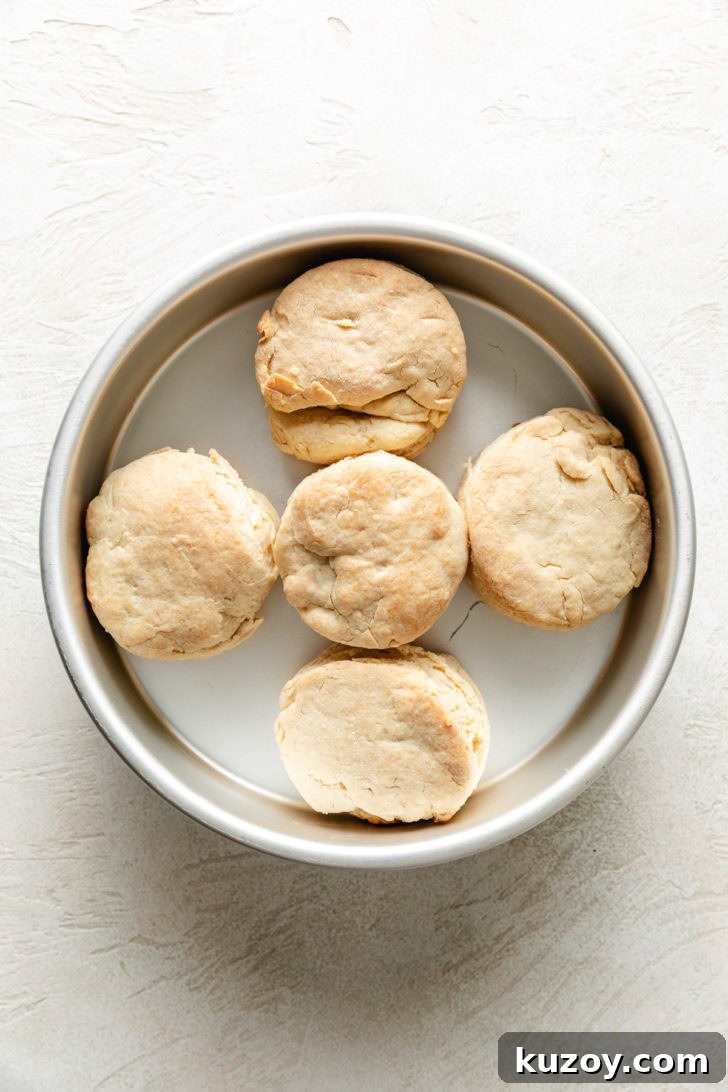 Baked golden homemade buttermilk biscuits in a round cake pan fresh from the oven.