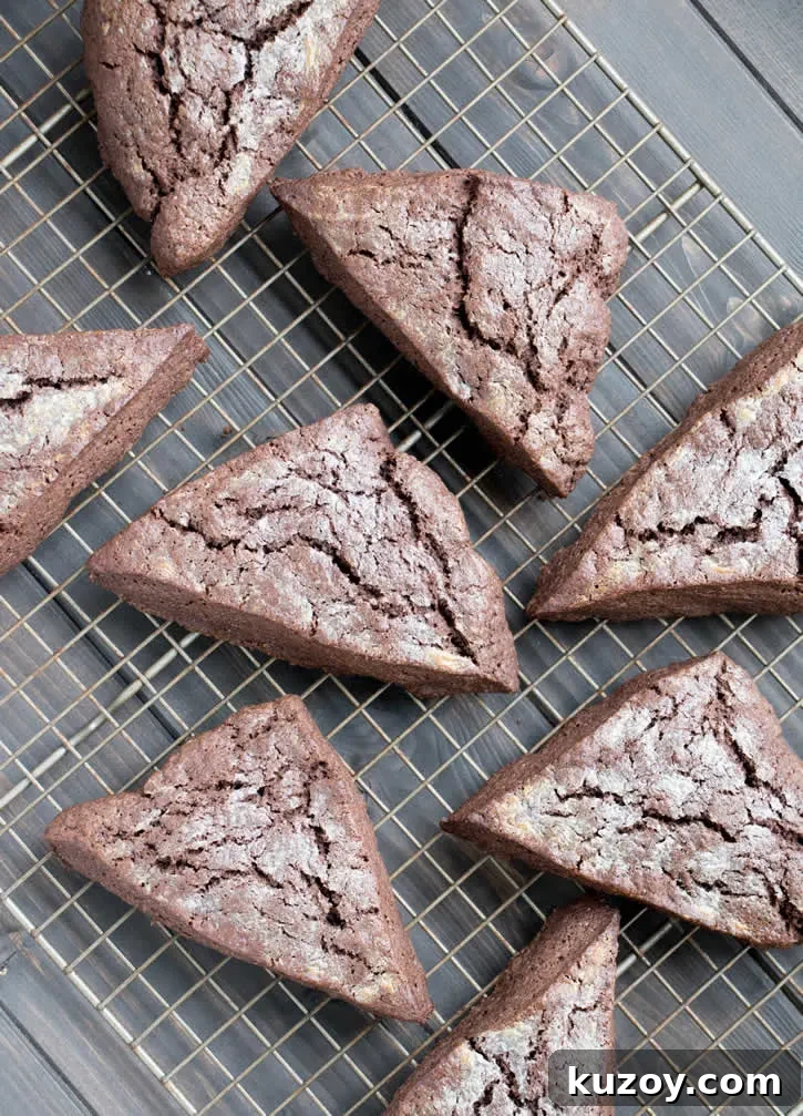 Decadent Dark Chocolate Fudge Scones — Recipe & Tips 4 Dark Chocolate Fudge Scones are lightly sweetened, yet rich with dark cocoa, butter and cream, then topped with a dark fudgy ganache and mini chips.
