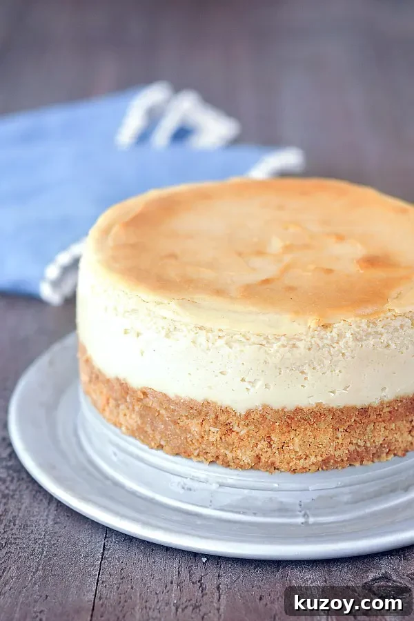 Vegan Cheesecake @spabettie #glutenfree #vegan a full vegan New York cheesecake before slicing or topping