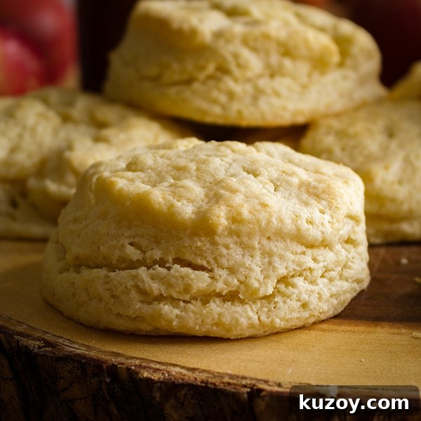 A plate full of simple cream biscuits