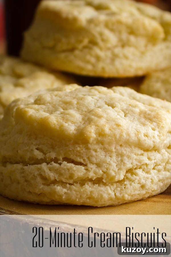 A close-up of a simple cream biscuit.
