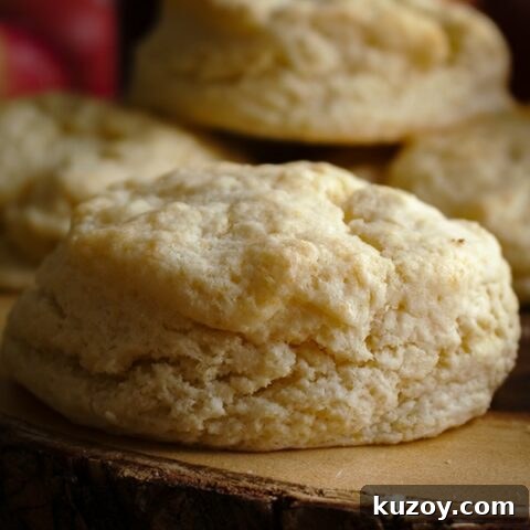 A close-up of a simple cream biscuit.