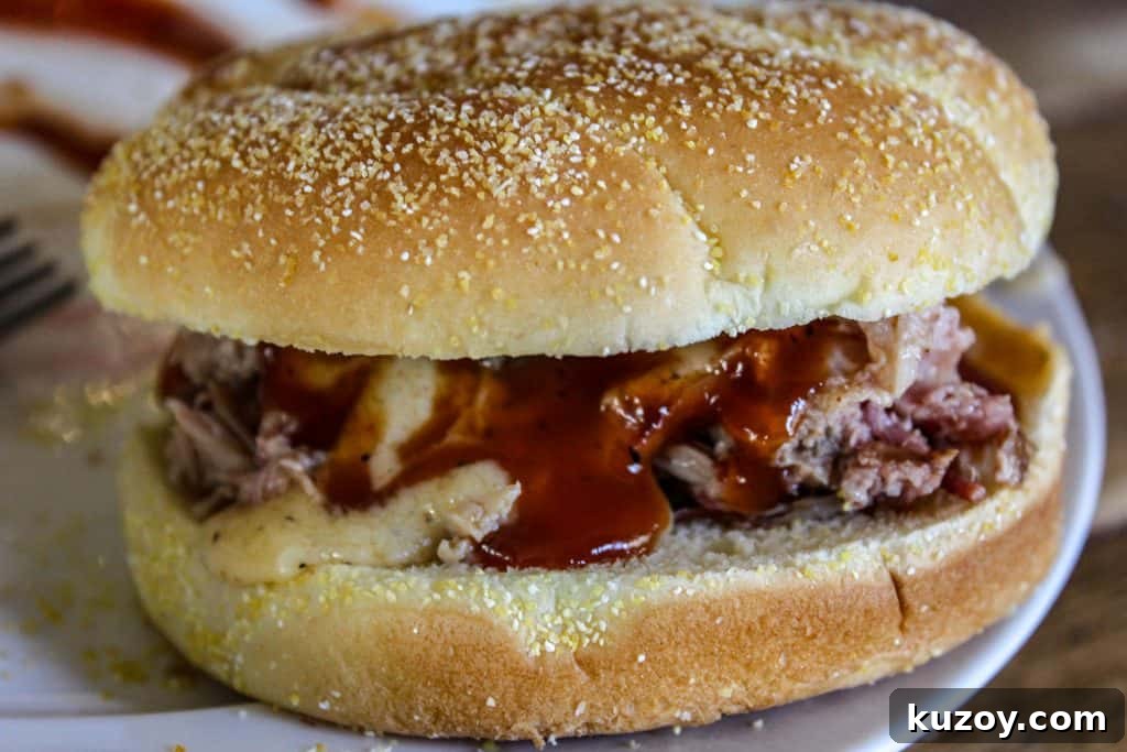 pulled pork sandwich with smoked cheese sauce
