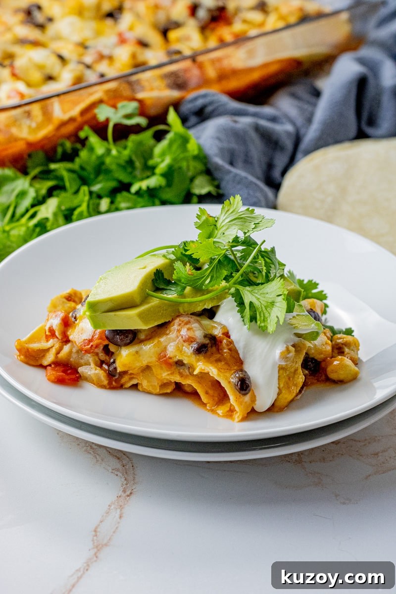 white plate with layers of tortillas, cheese, black beans and chicken topped with avocados and cilantro