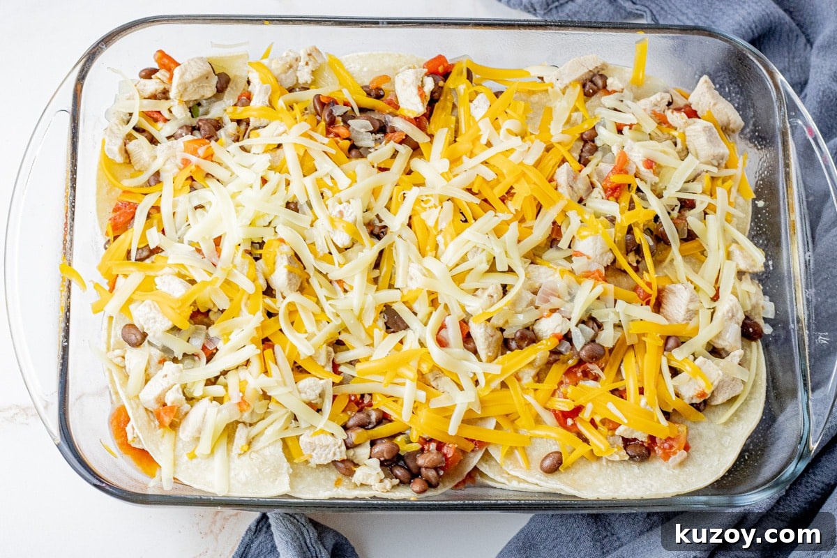layers of chicken, black beans, tomatoes and shredded cheeses