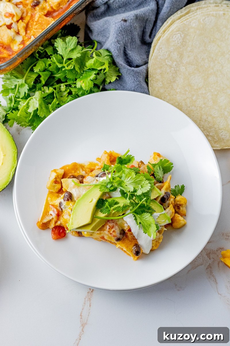 a white plate with a slice of chicken tortilla casserole topped with sour cream, avocados and cilantro on it