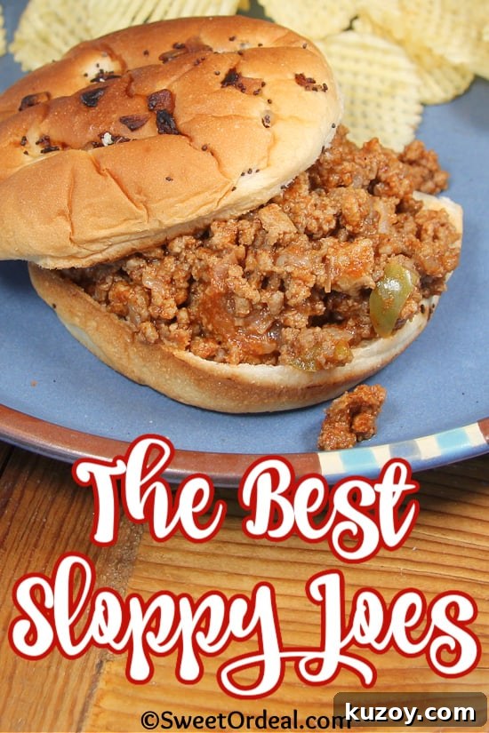 The Best Sloppy Joes are easy to make and so deliciously tasty. The Best Sloppy Joes