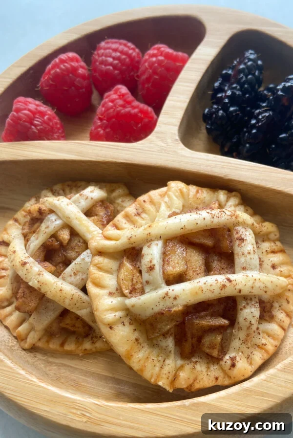 Sweet Potato Hand Pies Recipe: Flaky Crust & Savory-Sweet Filling 10 Healthy mini apple pies served with berries