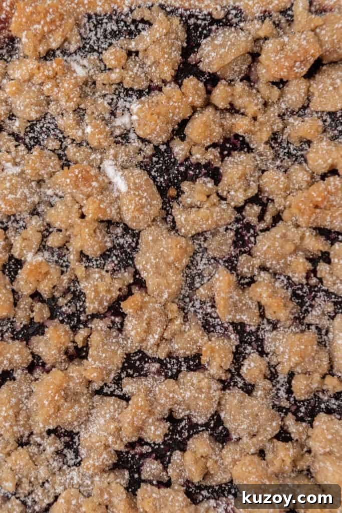 Blueberry Blondies Recipe: Moist, Chewy Bars with Fresh Berries 4 overhead close up of the blueberry blondies recipe