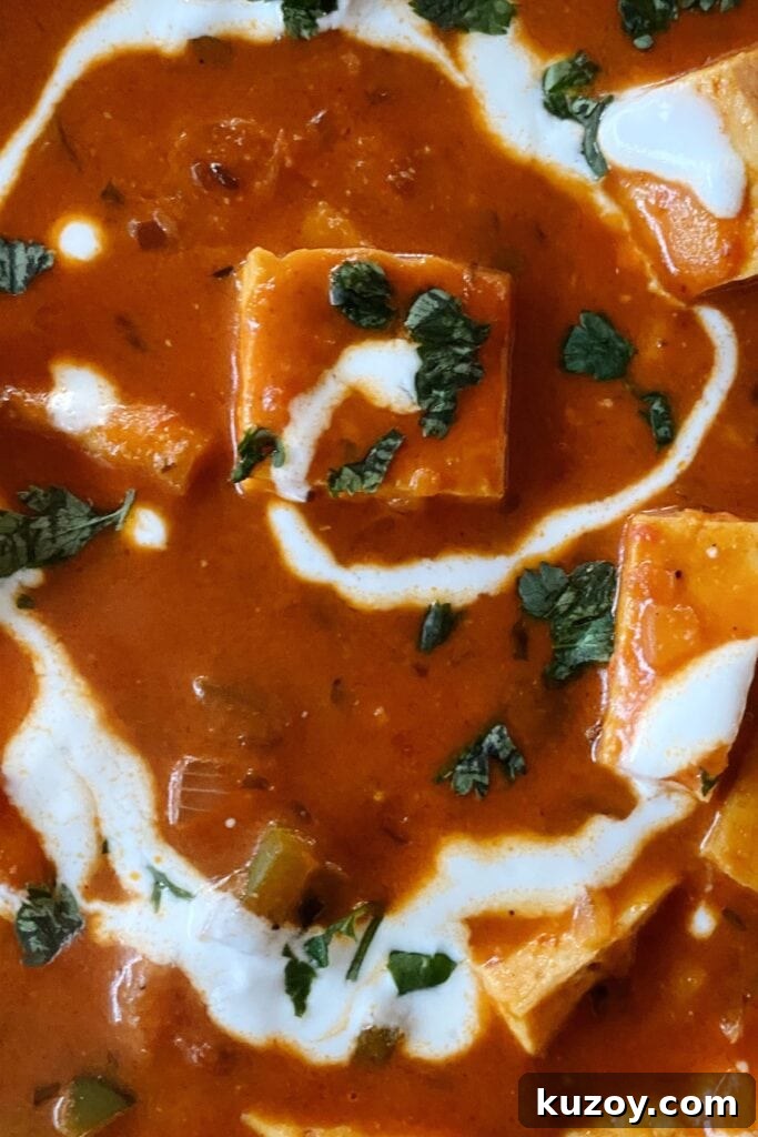 Paneer Makhani with Coconut Milk: Creamy Indian Curry Recipe 4 close up shot of the final recipe