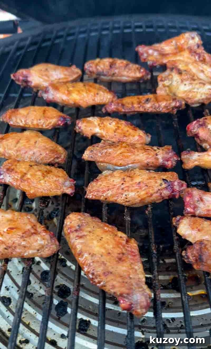 Crispy Garlic Parmesan Wings on the Big Green Egg: Perfect Recipe 11 img 8888 10
