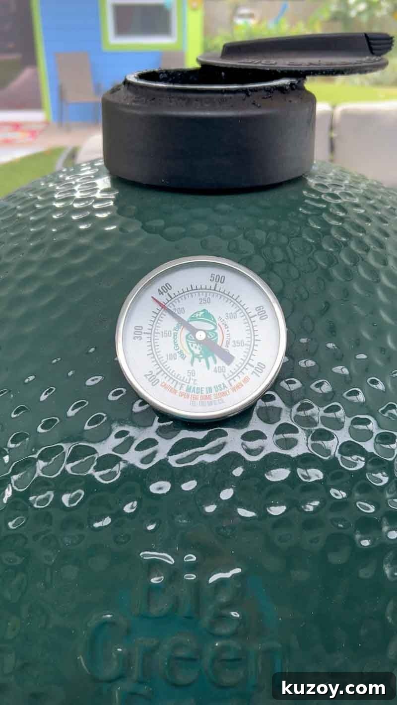 Crispy Garlic Parmesan Wings on the Big Green Egg: Perfect Recipe 5 img 8888 4